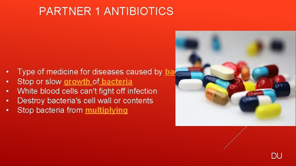 PARTNER 1 ANTIBIOTICS • • • Type of medicine for diseases caused by bacteria