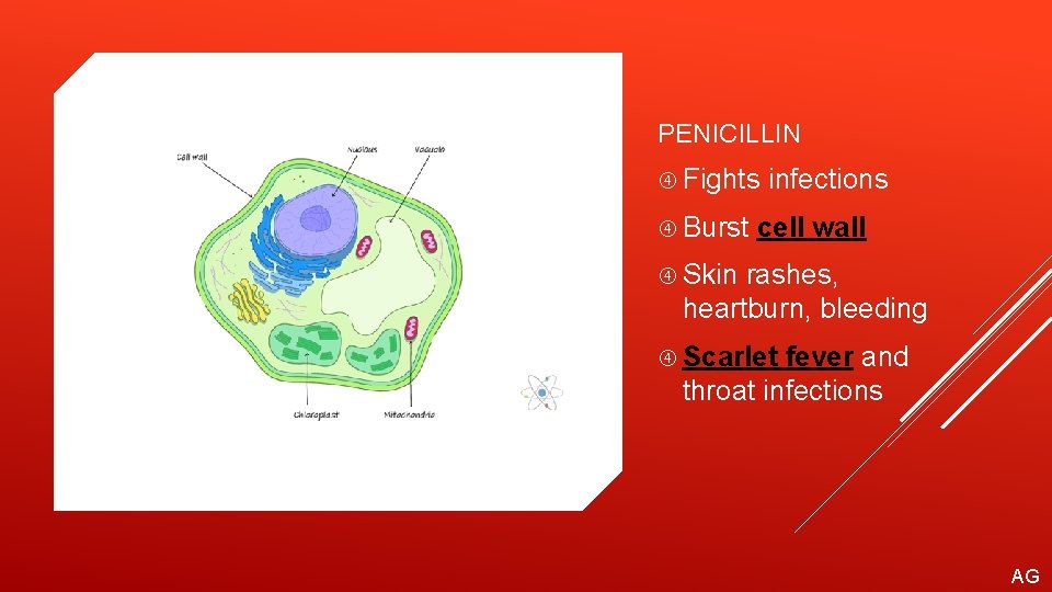 PENICILLIN Fights infections Burst cell wall Skin rashes, heartburn, bleeding Scarlet fever and throat