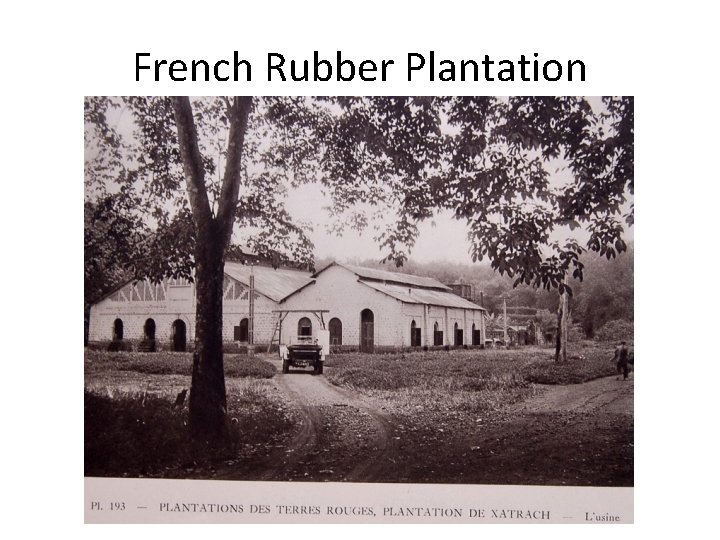 French Rubber Plantation 