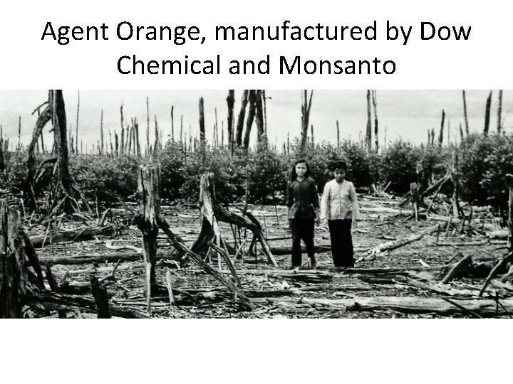 Agent Orange, manufactured by Dow Chemical and Monsanto 