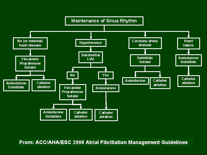 Maintenance of Sinus Rhythm No (or minimal) heart disease Hypertension Substantial LVH Flecainide Propafenone