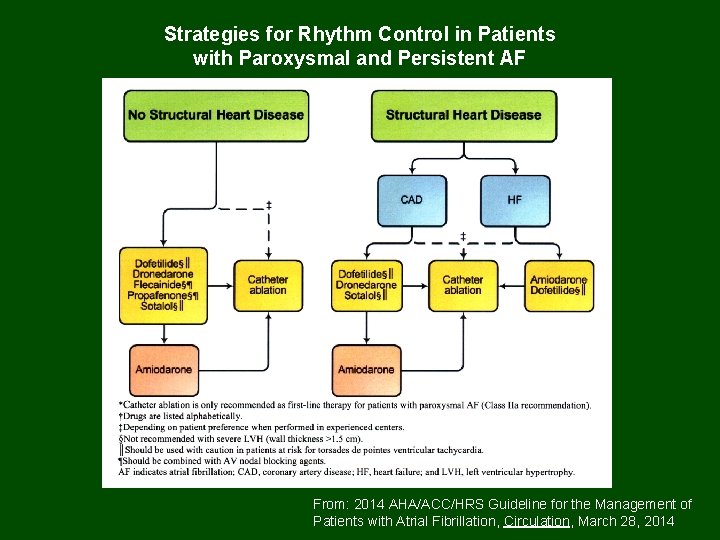Strategies for Rhythm Control in Patients with Paroxysmal and Persistent AF From: 2014 AHA/ACC/HRS