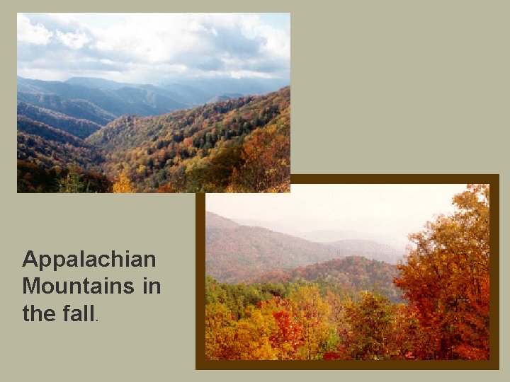 Appalachian Mountains in the fall. 