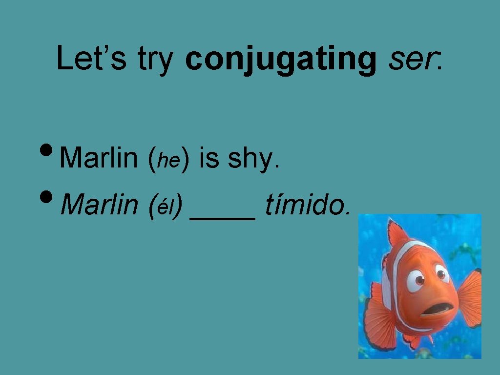 Let’s try conjugating ser: • Marlin (he) is shy. • Marlin (él) ____ tímido.