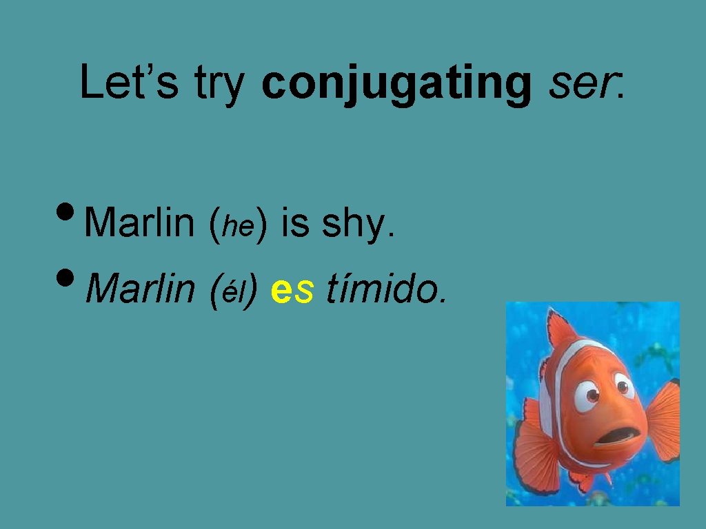 Let’s try conjugating ser: • Marlin (he) is shy. • Marlin (él) es tímido.