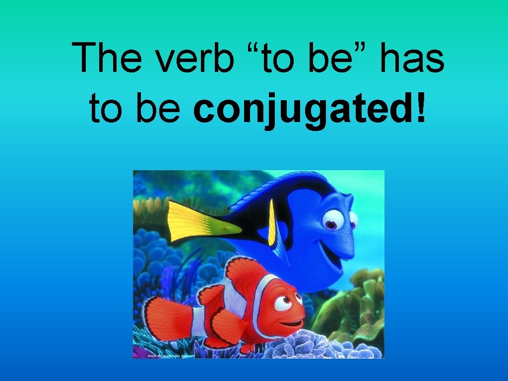 The verb “to be” has to be conjugated! 