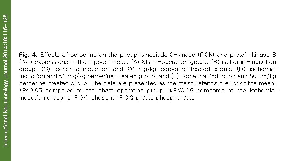 International Neurourology Journal 2014; 18: 115 -125 Fig. 4. Effects of berberine on the