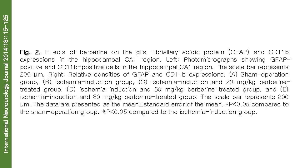 International Neurourology Journal 2014; 18: 115 -125 Fig. 2. Effects of berberine on the