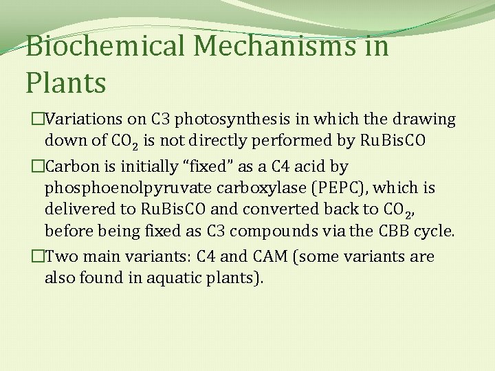 Biochemical Mechanisms in Plants �Variations on C 3 photosynthesis in which the drawing down