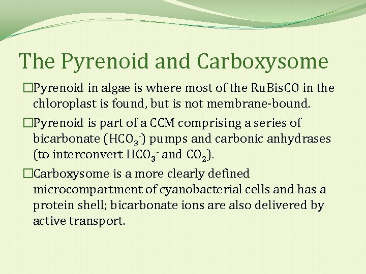 The Pyrenoid and Carboxysome �Pyrenoid in algae is where most of the Ru. Bis.