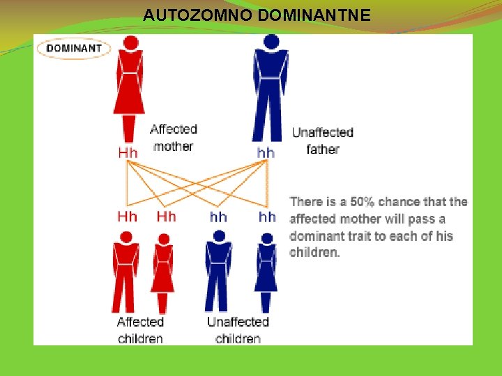 AUTOZOMNO DOMINANTNE 