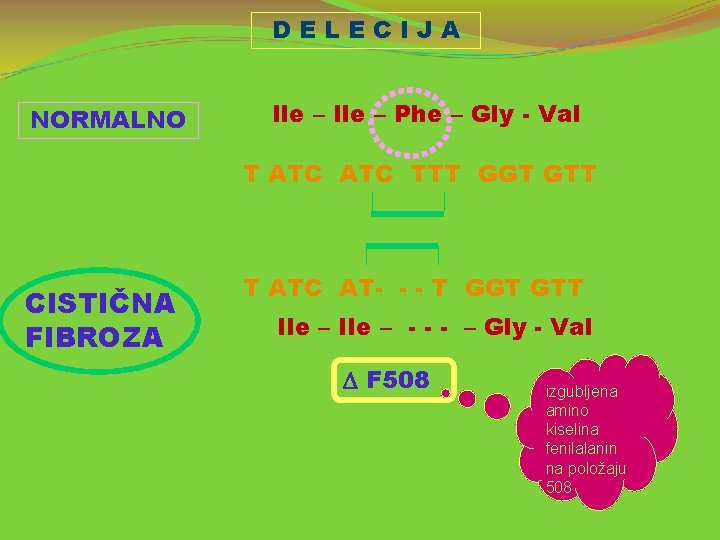 DELECIJA NORMALNO Ile – Phe – Gly - Val T ATC TTT GGT GTT