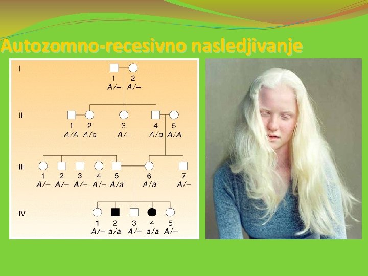 Autozomno-recesivno nasledjivanje 