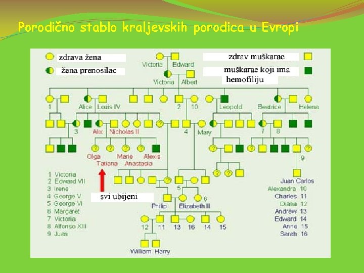 Porodično stablo kraljevskih porodica u Evropi 