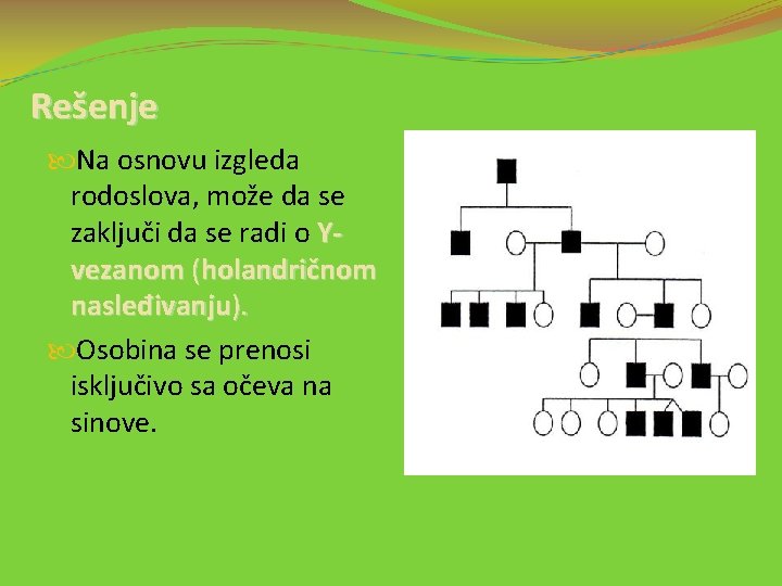 Rešenje Na osnovu izgleda rodoslova, može da se zaključi da se radi o Yvezanom