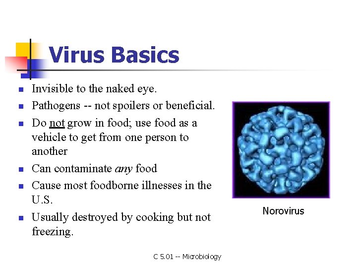 Virus Basics n n n Invisible to the naked eye. Pathogens -- not spoilers