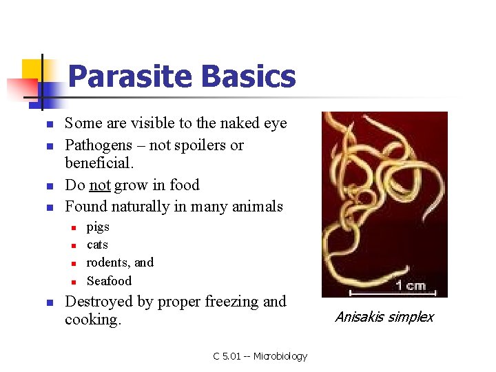 Parasite Basics n n Some are visible to the naked eye Pathogens – not