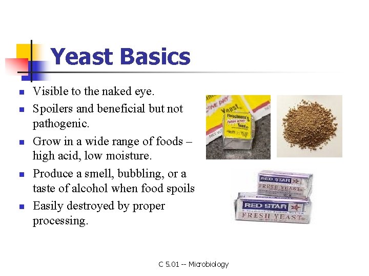 Yeast Basics n n n Visible to the naked eye. Spoilers and beneficial but