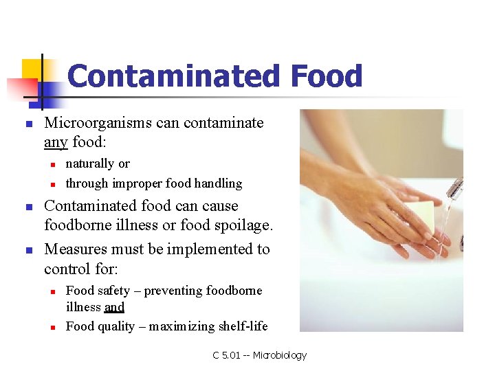 Contaminated Food n Microorganisms can contaminate any food: n n naturally or through improper