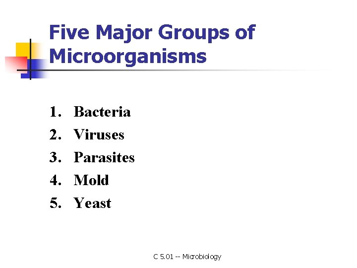 Five Major Groups of Microorganisms 1. 2. 3. 4. 5. Bacteria Viruses Parasites Mold