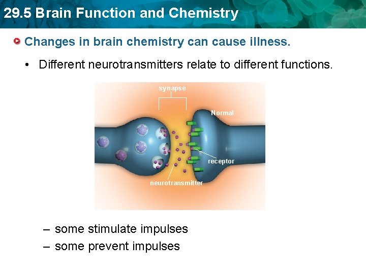 29. 5 Brain Function and Chemistry Changes in brain chemistry can cause illness. •