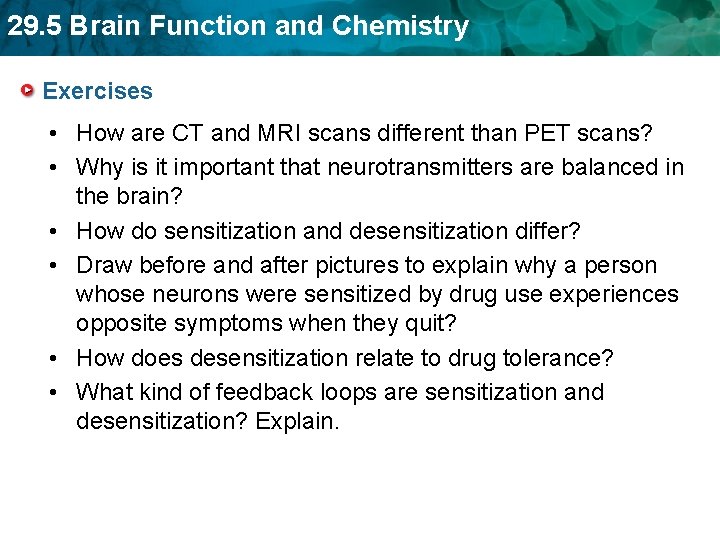 29. 5 Brain Function and Chemistry Exercises • How are CT and MRI scans