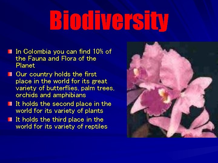 Biodiversity In Colombia you can find 10% of the Fauna and Flora of the