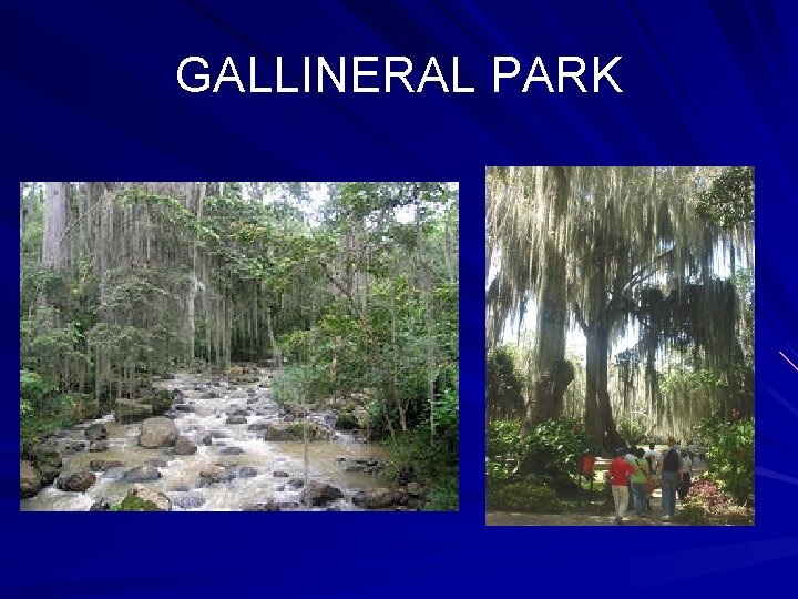 GALLINERAL PARK 
