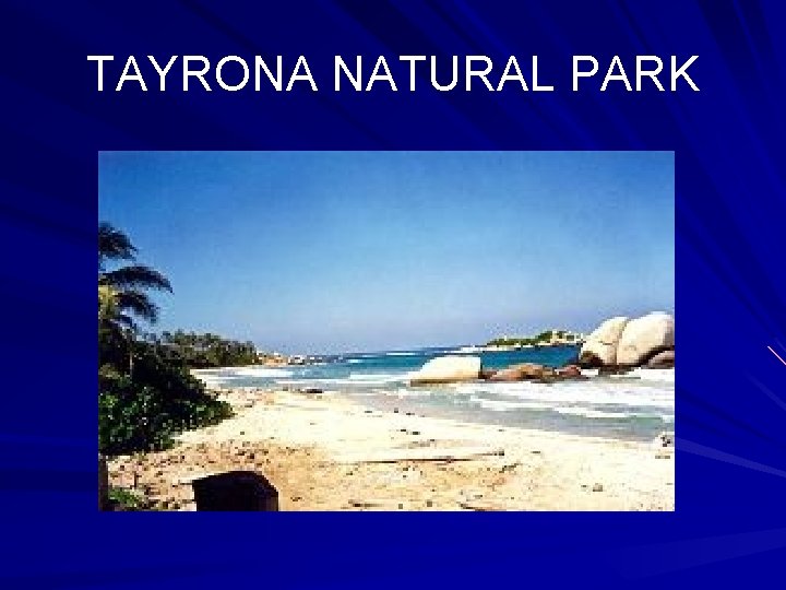 TAYRONA NATURAL PARK 