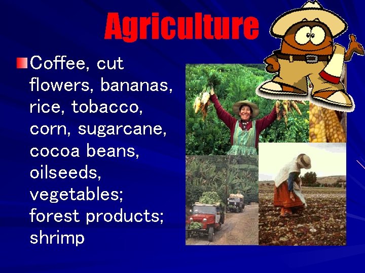 Agriculture Coffee, cut flowers, bananas, rice, tobacco, corn, sugarcane, cocoa beans, oilseeds, vegetables; forest