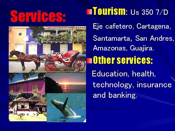 Services: Tourism: Us 350 7/D Eje cafetero, Cartagena, Santamarta, San Andres, Amazonas, Guajira. Other