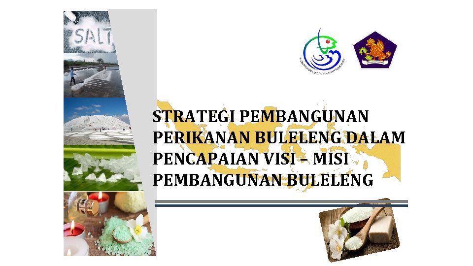 STRATEGI PEMBANGUNAN PERIKANAN BULELENG DALAM PENCAPAIAN VISI – MISI PEMBANGUNAN BULELENG 