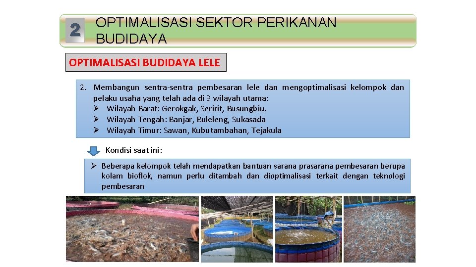2 Standar Mutu OPTIMALISASI SEKTOR PERIKANAN BUDIDAYA OPTIMALISASI BUDIDAYA LELE 2. Membangun sentra-sentra pembesaran