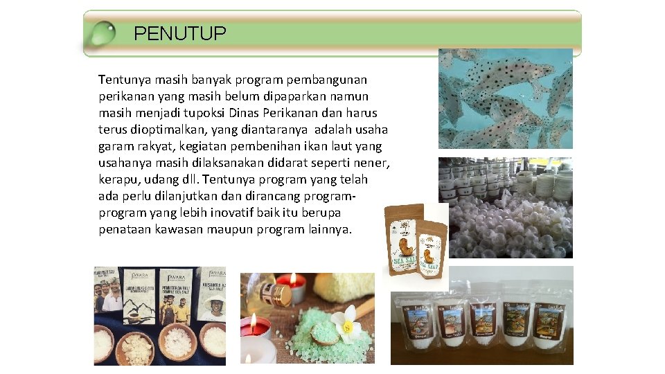 PENUTUP Standar Mutu Tentunya masih banyak program pembangunan perikanan yang masih belum dipaparkan namun