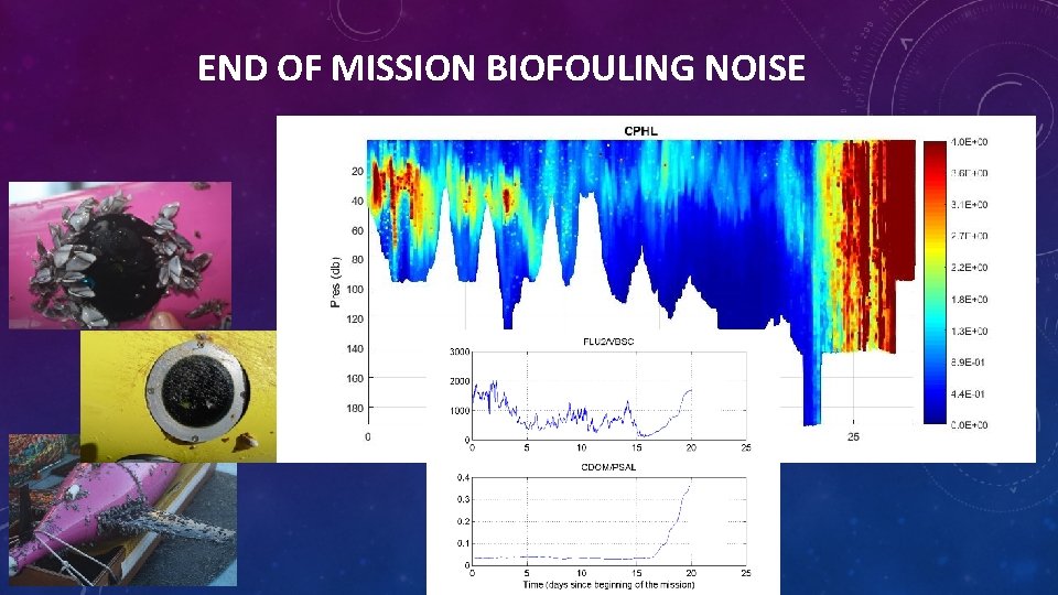 END OF MISSION BIOFOULING NOISE 
