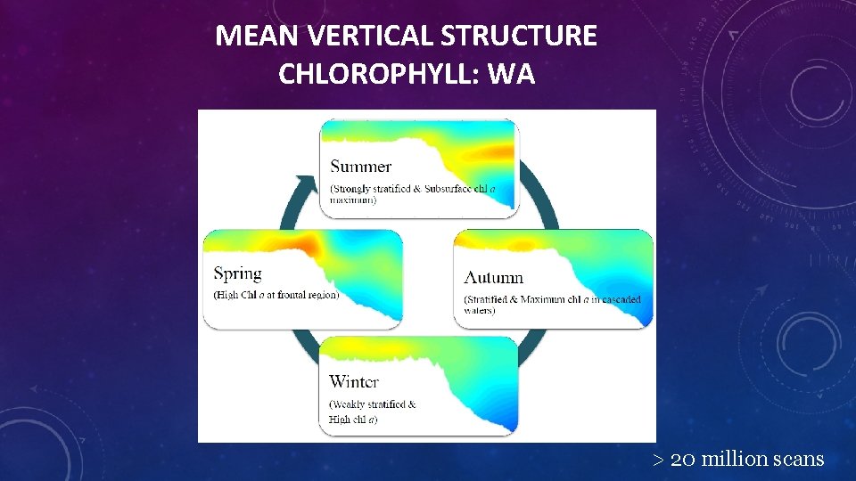 MEAN VERTICAL STRUCTURE CHLOROPHYLL: WA > 20 million scans 