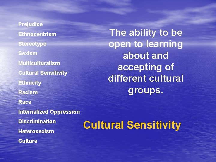 Prejudice Ethnocentrism Stereotype Sexism Multiculturalism Cultural Sensitivity Ethnicity Racism The ability to be open