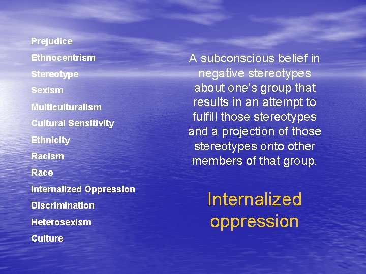 Prejudice Ethnocentrism Stereotype Sexism Multiculturalism Cultural Sensitivity Ethnicity Racism A subconscious belief in negative