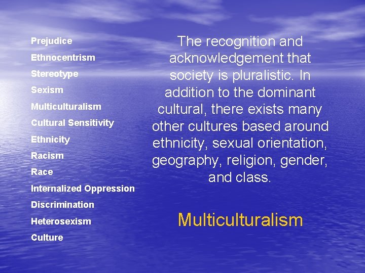 Prejudice Ethnocentrism Stereotype Sexism Multiculturalism Cultural Sensitivity Ethnicity Racism Race Internalized Oppression Discrimination Heterosexism