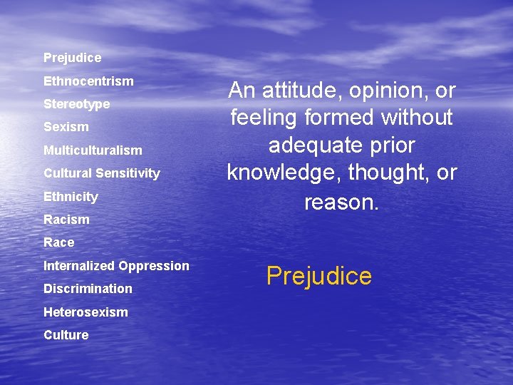 Prejudice Ethnocentrism Stereotype Sexism Multiculturalism Cultural Sensitivity Ethnicity Racism An attitude, opinion, or feeling