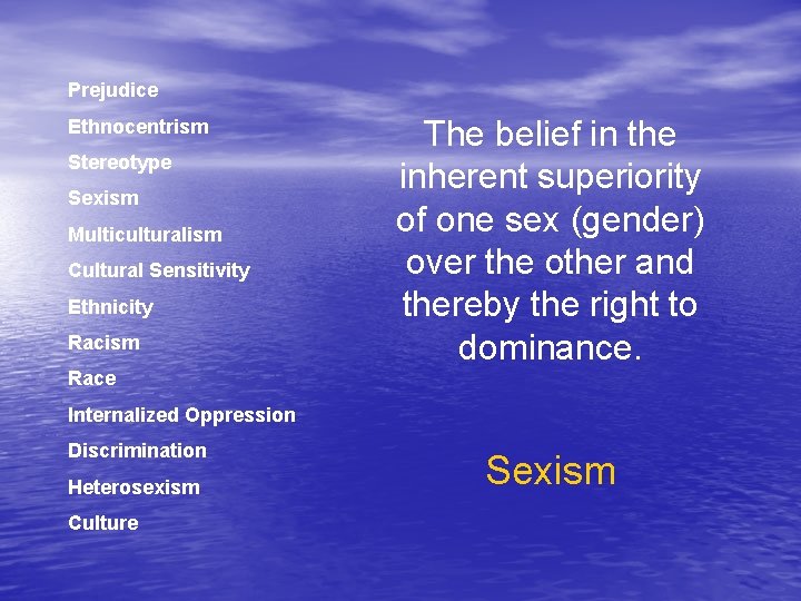 Prejudice Ethnocentrism Stereotype Sexism Multiculturalism Cultural Sensitivity Ethnicity Racism The belief in the inherent