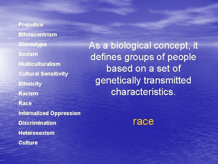 Prejudice Ethnocentrism Stereotype Sexism Multiculturalism Cultural Sensitivity Ethnicity Racism As a biological concept, it