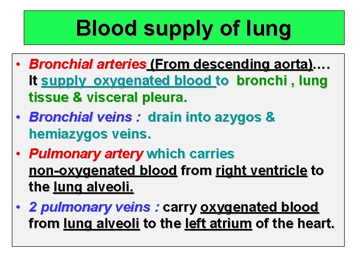 Blood supply of lung • Bronchial arteries (From descending aorta)…. It supply oxygenated blood