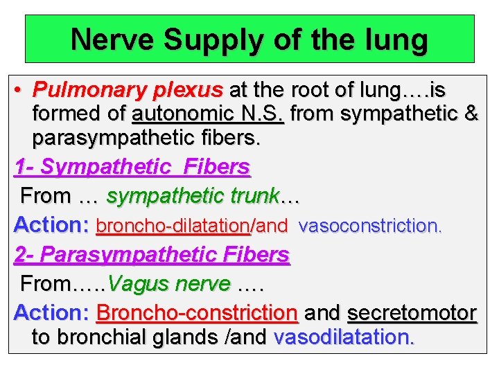 Nerve Supply of the lung • Pulmonary plexus at the root of lung…. is