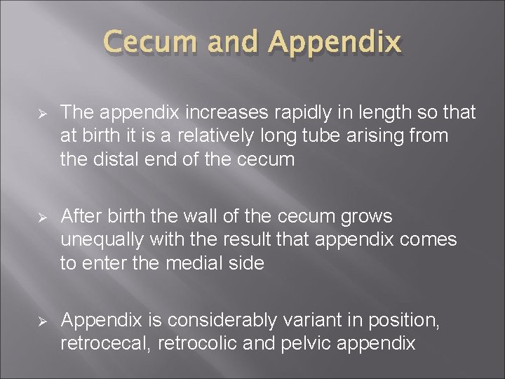 Cecum and Appendix Ø The appendix increases rapidly in length so that at birth