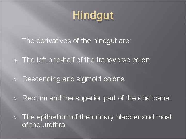 Hindgut The derivatives of the hindgut are: Ø The left one-half of the transverse