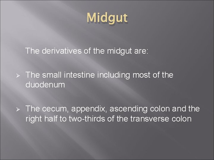 Midgut The derivatives of the midgut are: Ø The small intestine including most of