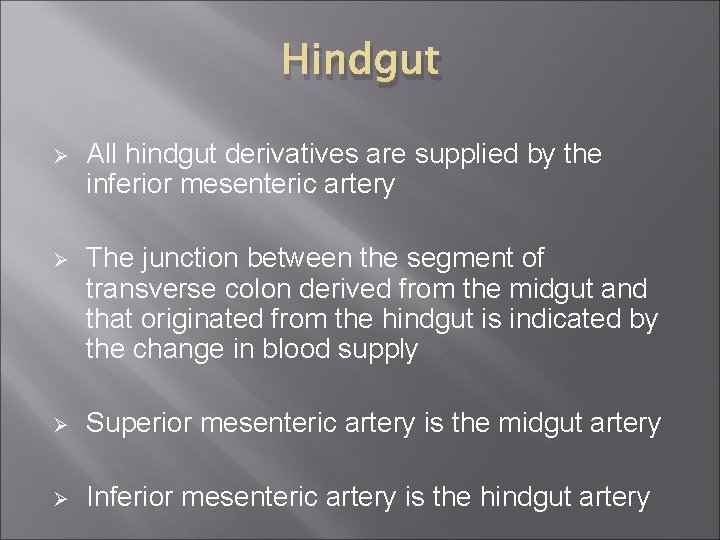 Hindgut Ø All hindgut derivatives are supplied by the inferior mesenteric artery Ø The