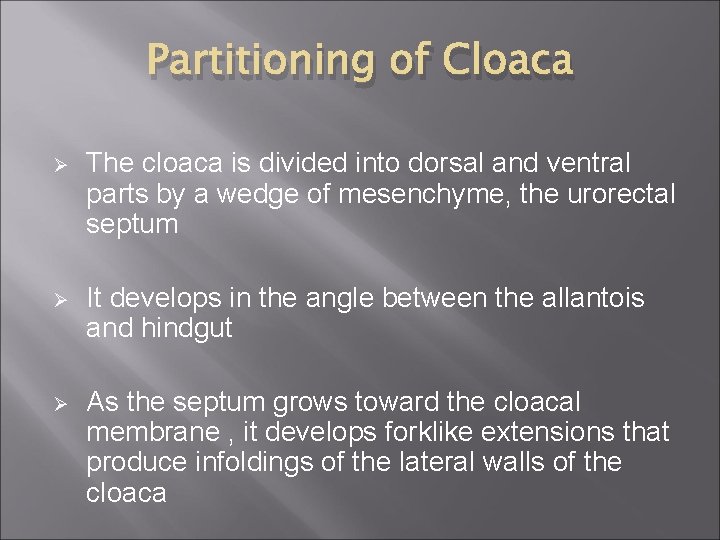 Partitioning of Cloaca Ø The cloaca is divided into dorsal and ventral parts by