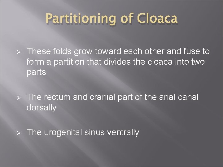 Partitioning of Cloaca Ø These folds grow toward each other and fuse to form